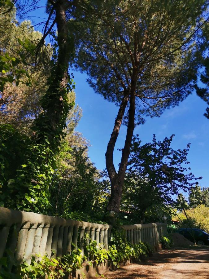 Finca Rural Labriega Del Hueznar Cazalla de la Sierra Bagian luar foto